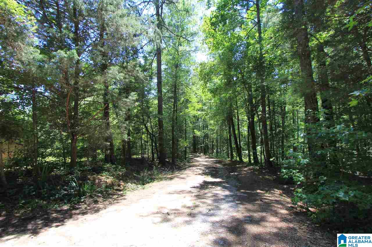 4363 Old Sulphur Springs Road Wellington, AL 36279 - Photo 27 of 37
