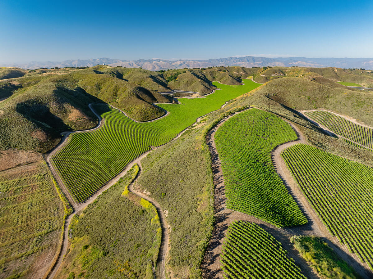 7455 Palmer Road Santa Maria, CA 93454 - Photo 7 of 27 Loma Verde Web-07