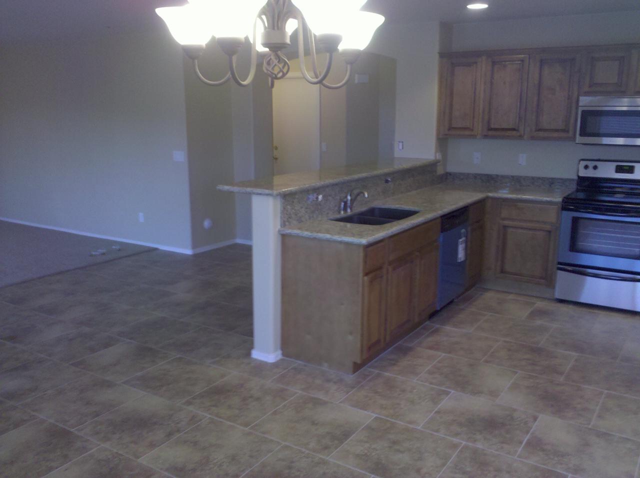 9133 West Payson Road Tolleson, AZ 85353 - Photo 4 of 15 2010-02-11 17
