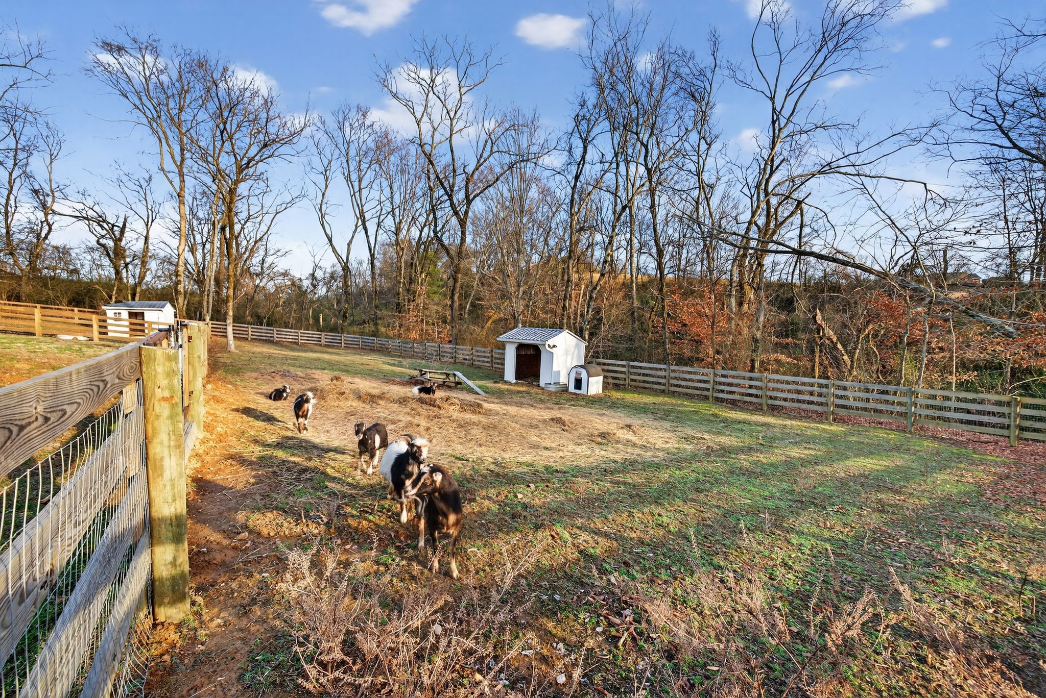 1677 Blackburn Lane Spring Hill, TN 37174 - Photo 71 of 89