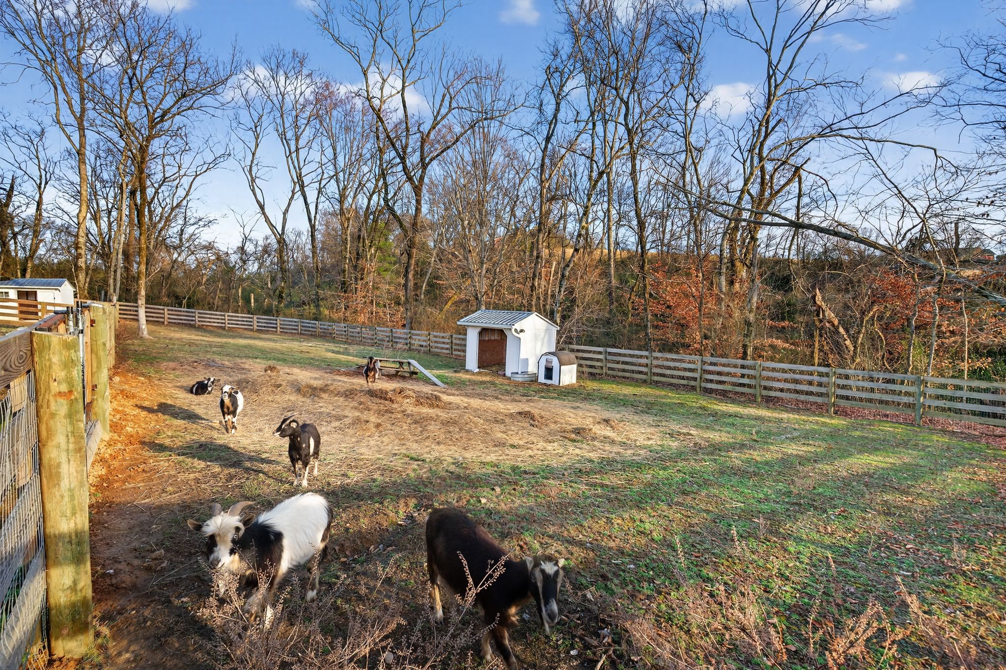 1677 Blackburn Lane Spring Hill, TN 37174 - Photo 72 of 89