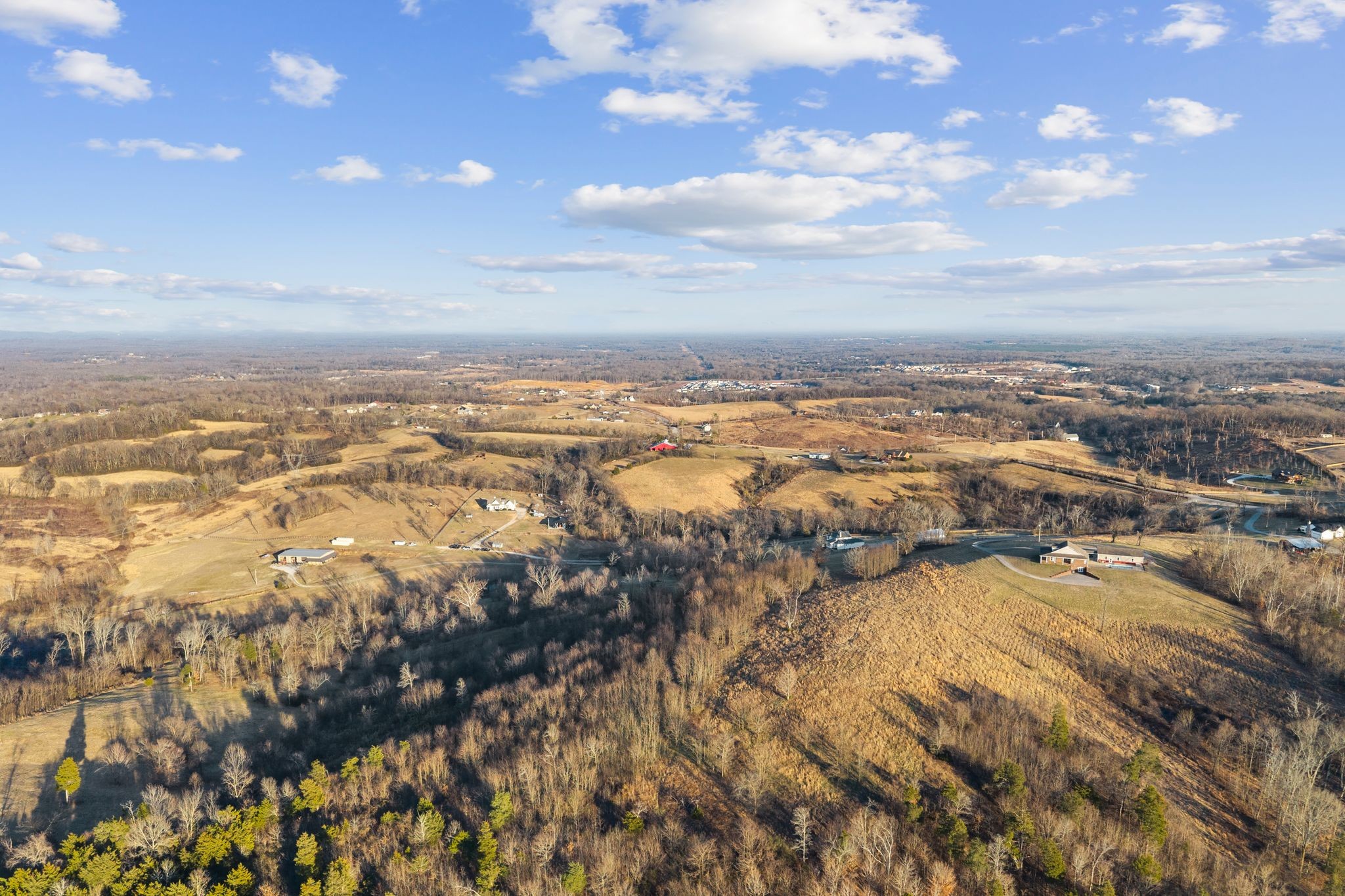 1677 Blackburn Lane Spring Hill, TN 37174 - Photo 87 of 89