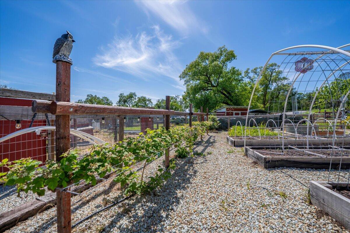 6057 Wilson Hill Road Manton, CA 96059 - Photo 41 of 63 Fenced garden area with raised beds