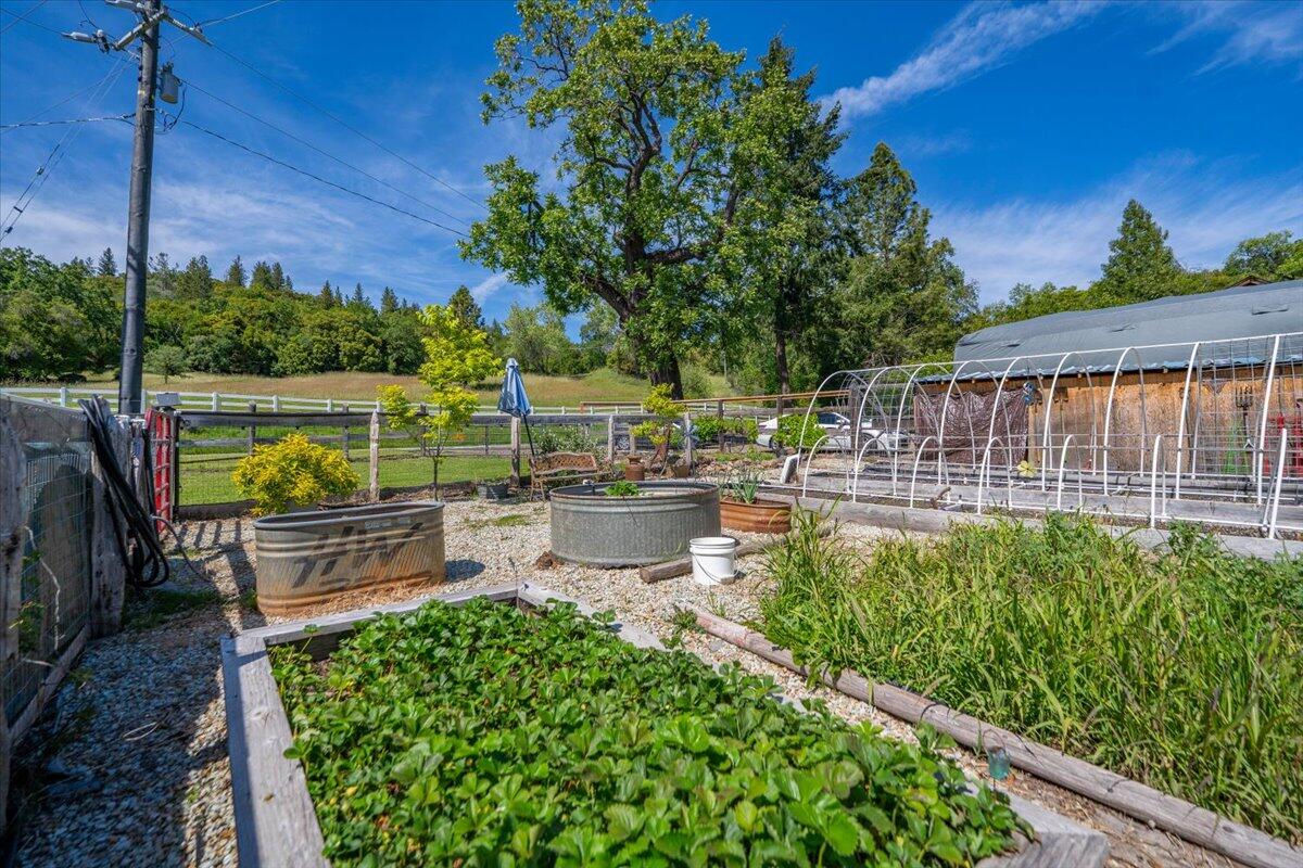6057 Wilson Hill Road Manton, CA 96059 - Photo 44 of 63 Southern exposure