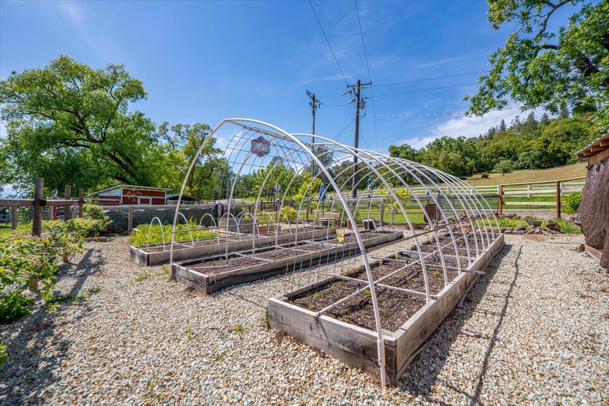 6057 Wilson Hill Road Manton, CA 96059 - Photo 47 of 63 Ready for your veggies