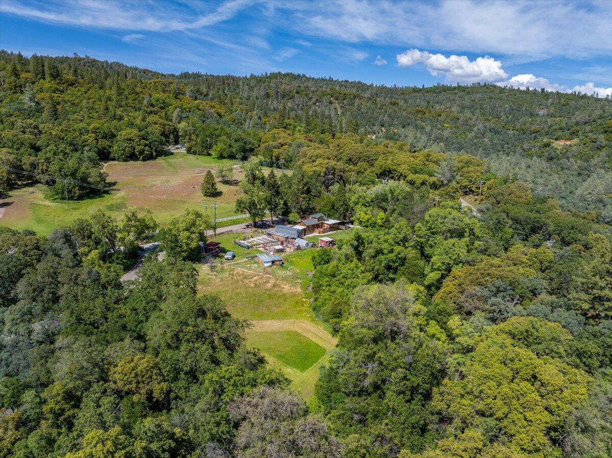 6057 Wilson Hill Road Manton, CA 96059 - Photo 59 of 63 Minutes from Shingletown
