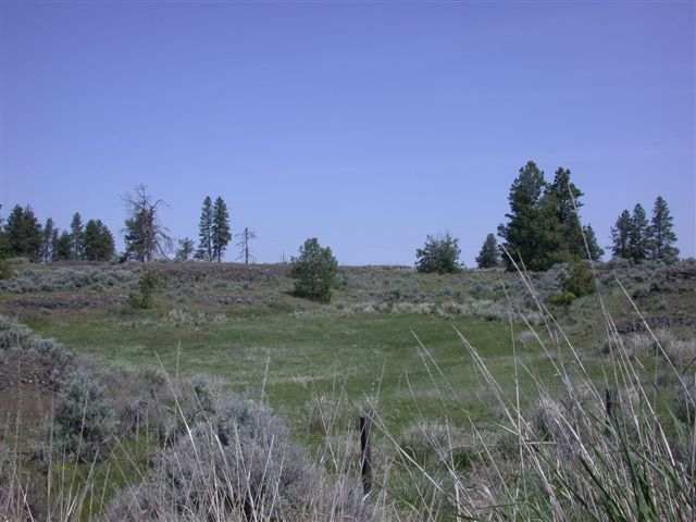 7437 Bruce Road East Wilbur, WA 99185 - Photo 8 of 8 Gallery Image 8