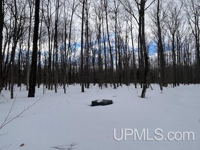 53554 North Superior Road Houghton, MI 49931 - Photo 24 of 41