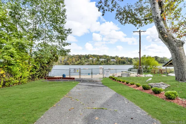 a view of a garden with a tree