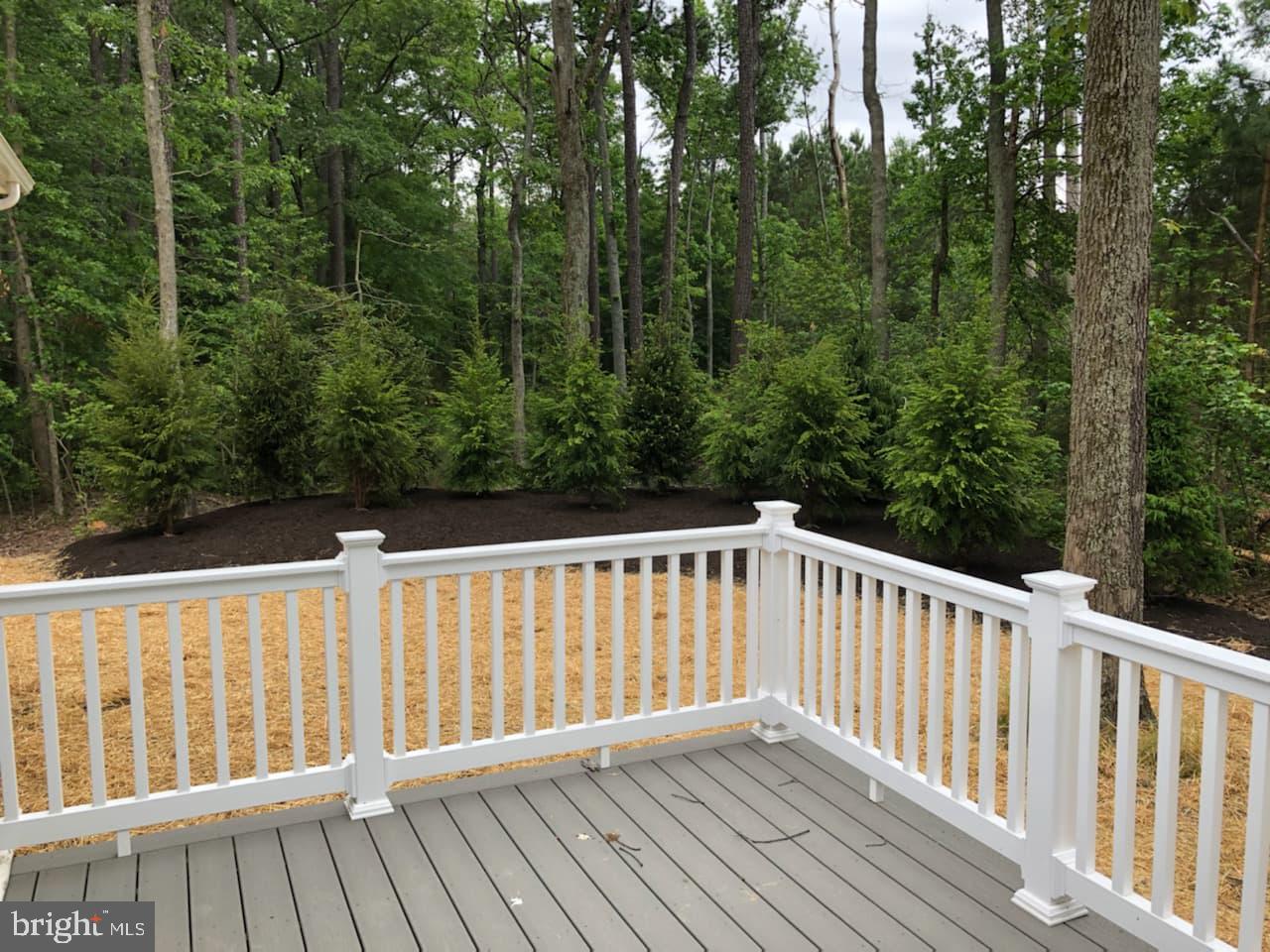 210 Wicomico Road Stevensville, MD 21666 - Photo 5 of 21 View from the deck