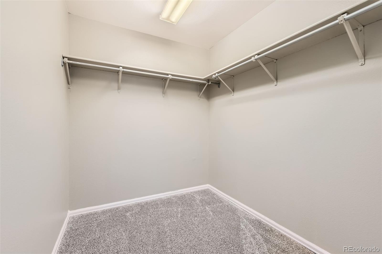 8834 Blue Mountain Place Highlands Ranch, CO 80126 - Photo 21 of 31