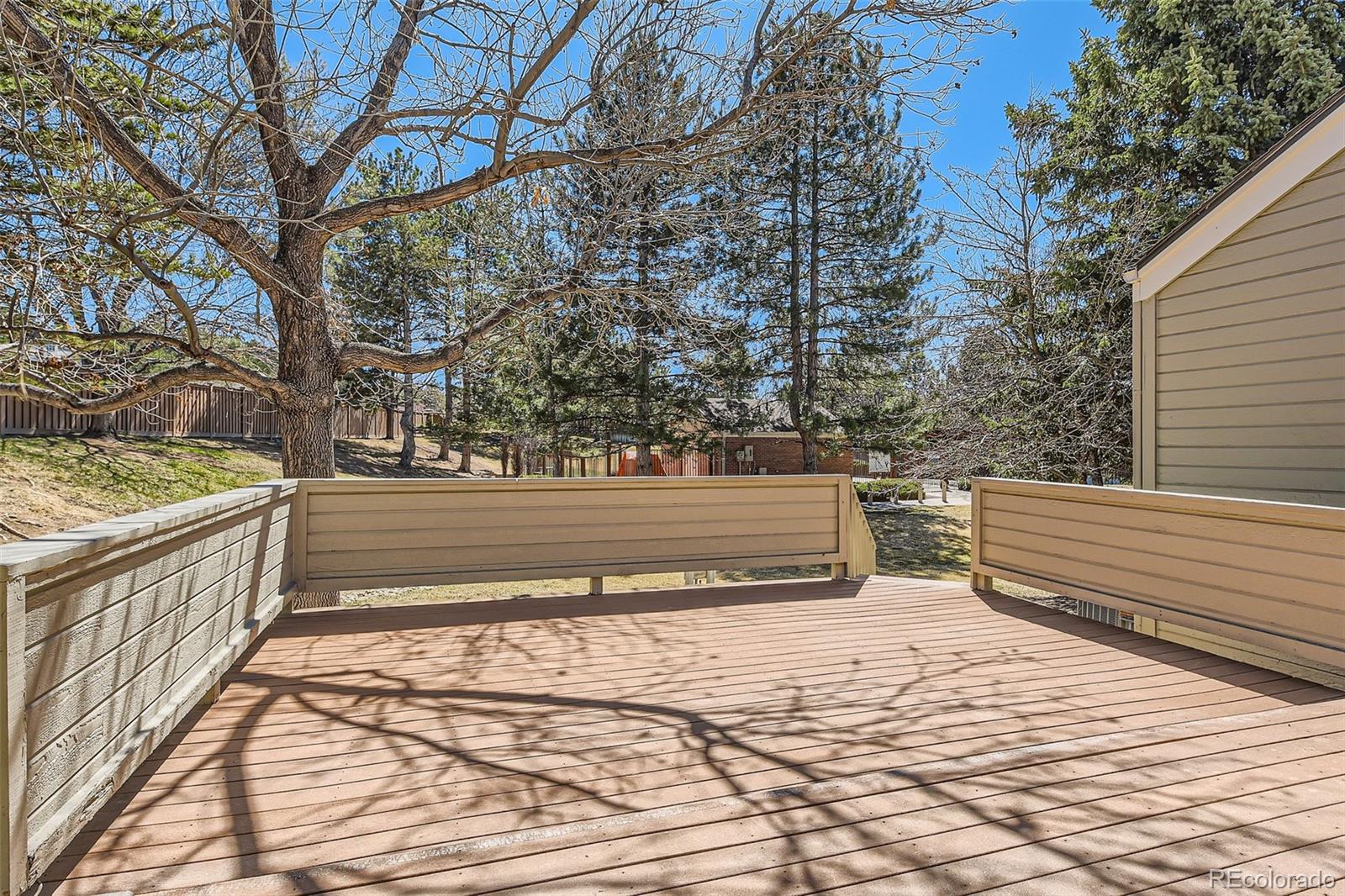 8834 Blue Mountain Place Highlands Ranch, CO 80126 - Photo 23 of 31