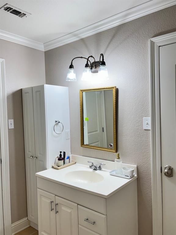 605 Jade Haughton, LA 71037 - Photo 15 of 34 Hall bathroom featuring a white vanity with an integrated sink, brushed nickel faucet, and a large gold-framed mirror