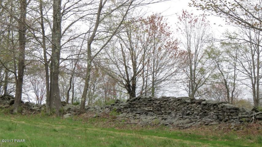 70 Moody Road Pleasant Mount, PA 18453 - Photo 52 of 67 stone walls