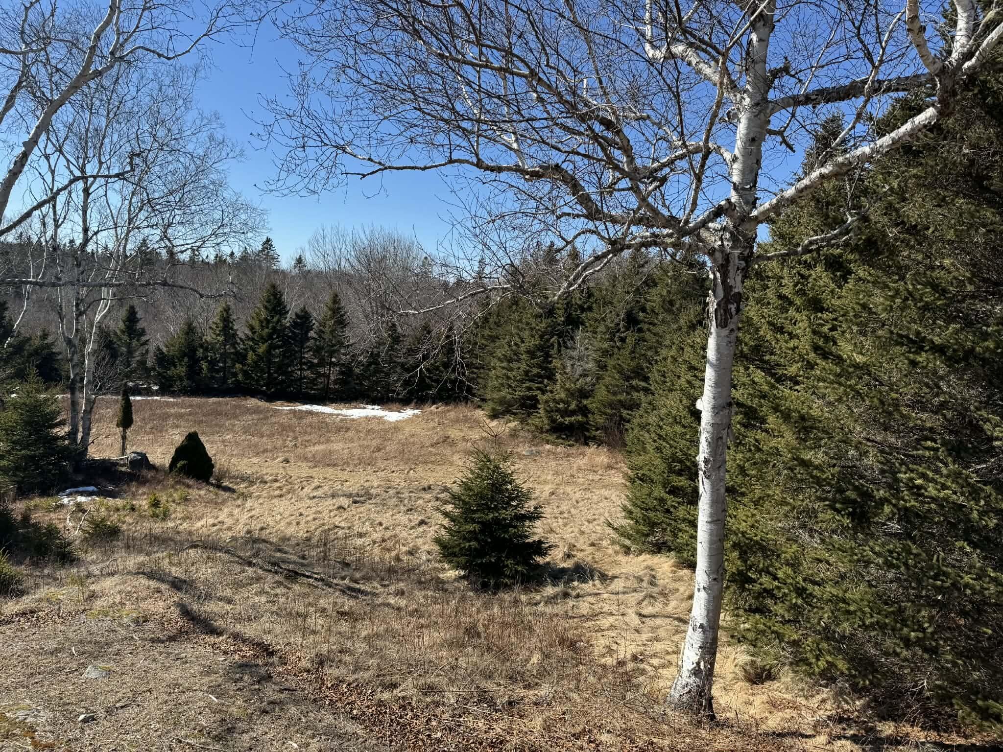 17 Basin Road, Unit LOT 24 Addison, ME 04606 - Photo 4 of 7