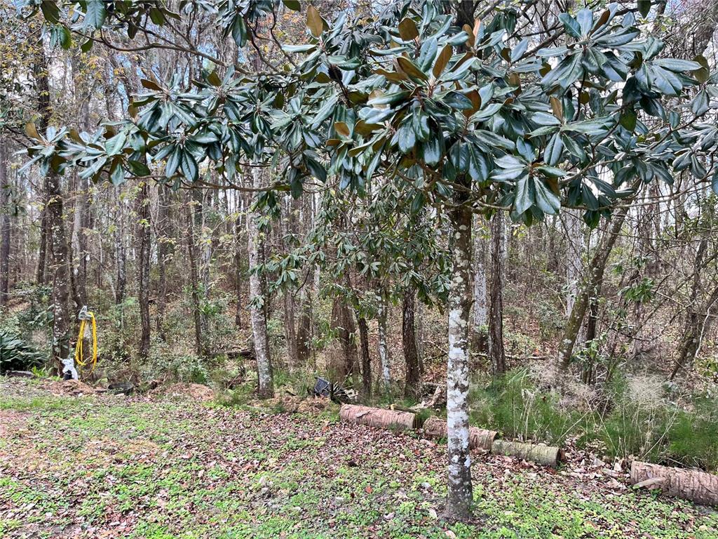 5608 County Road 240 Lake Butler, FL 32054 - Photo 12 of 32