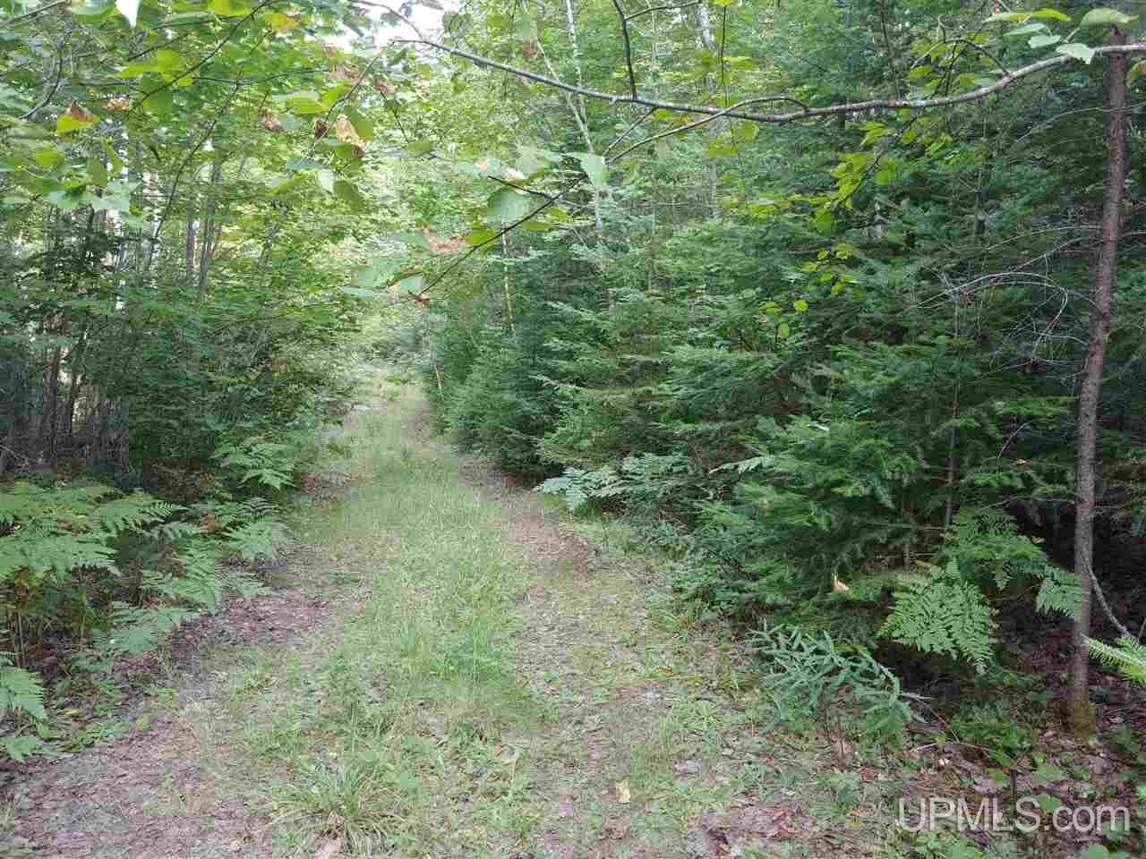 42-acres 42-acres Co Road Ishpeming, MI 49849 - Photo 7 of 16