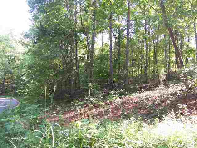 Lot 23 War Branch Road Central, SC 29630 - Photo 3 of 4 Gallery Image 3