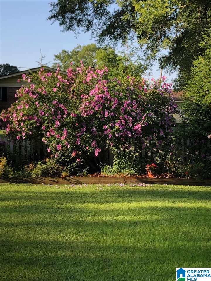 109 Ferry Road Columbiana, AL 35051 - Photo 35 of 49