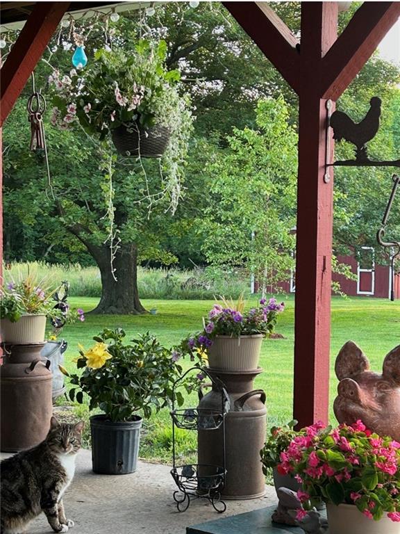 22420 Eisele Road Cleveland, MO 64734 - Photo 11 of 15