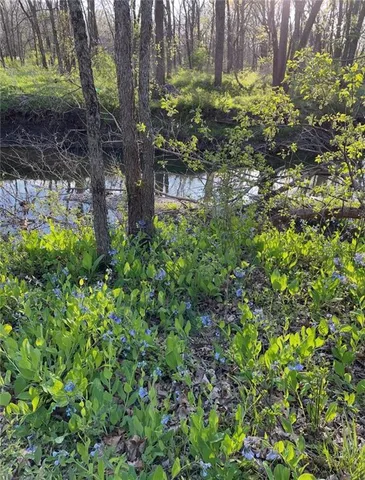 $525,000 | 22420 Eisele Road, Cleveland, MO 64734