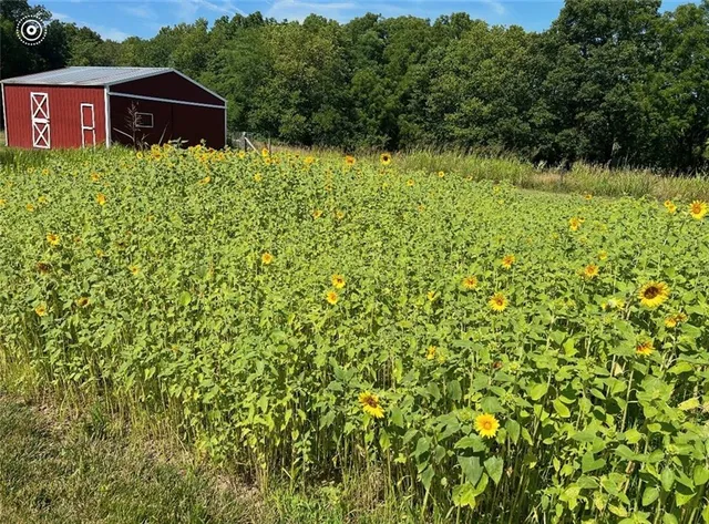 $525,000 | 22420 Eisele Road, Cleveland, MO 64734