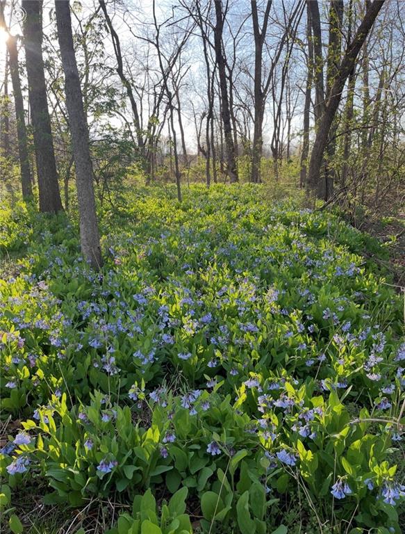 22420 Eisele Road Cleveland, MO 64734 - Photo 40 of 45