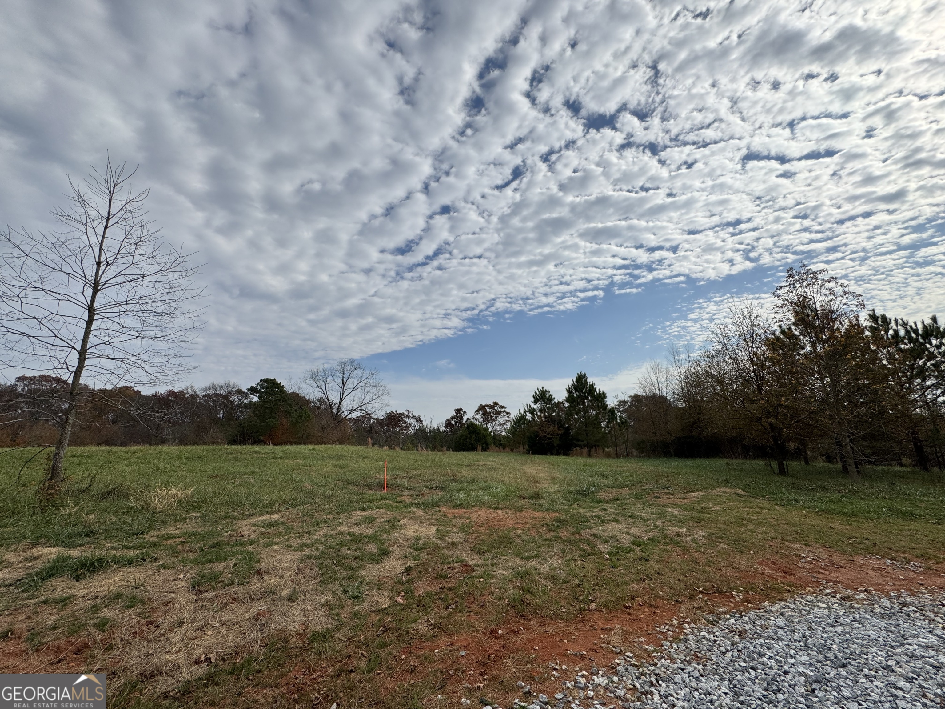 3439-tract 4 Providence Church Road Hartwell, GA 30643 - Photo 3 of 15 a view of a field with an trees