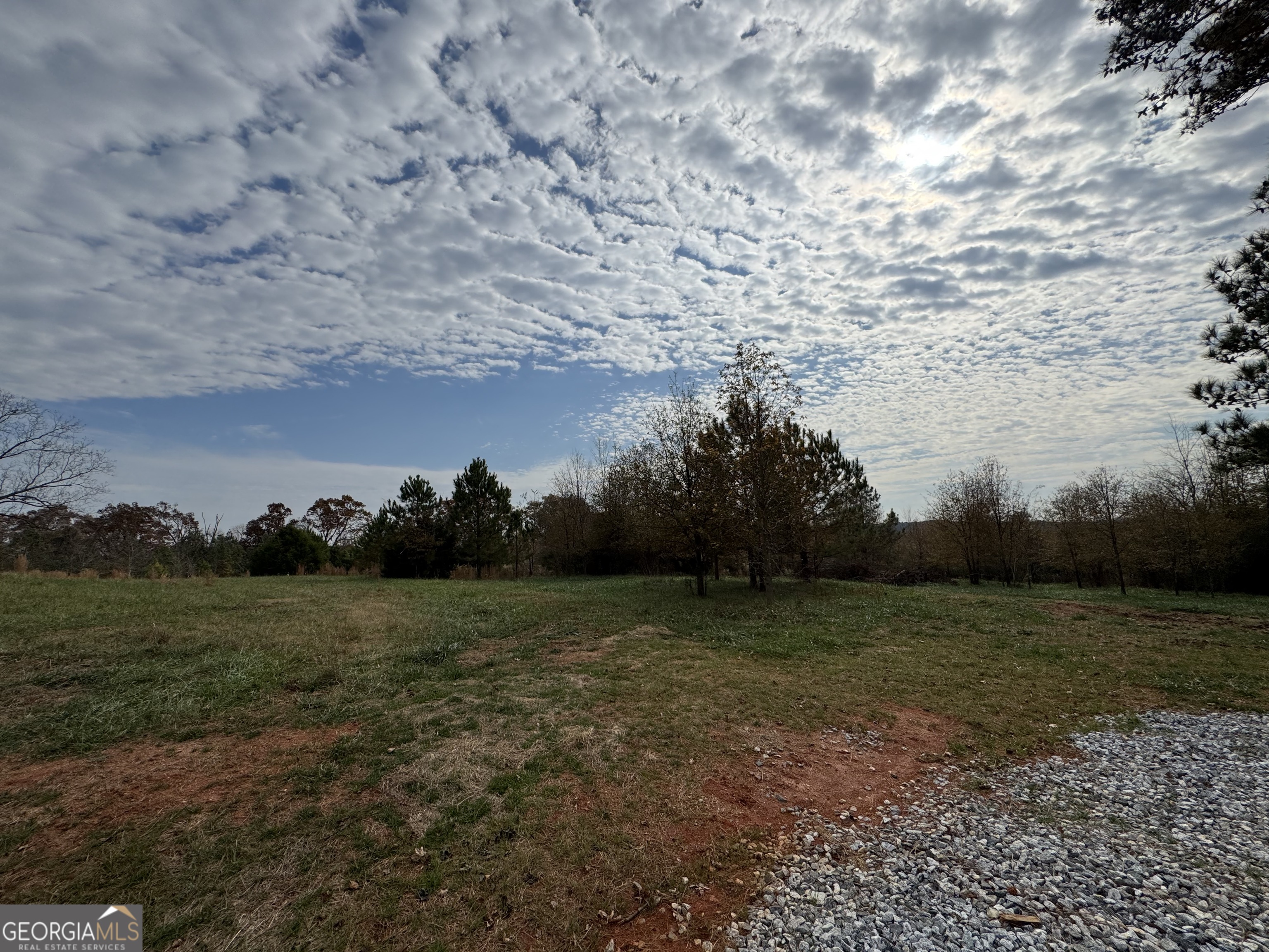 3439-tract 4 Providence Church Road Hartwell, GA 30643 - Photo 4 of 15 a view of a field with an trees