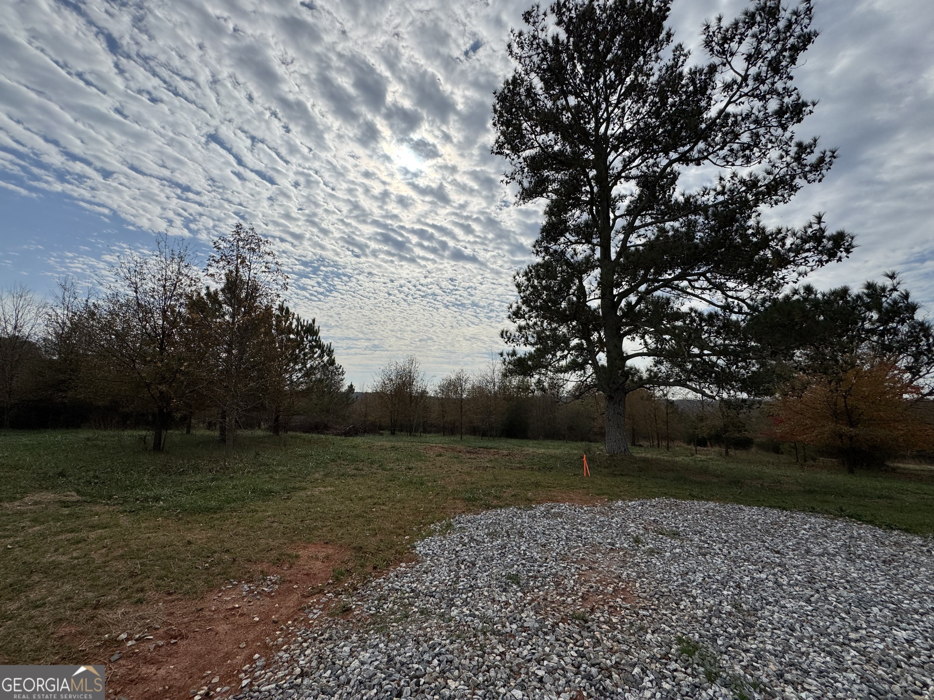3439-tract 4 Providence Church Road Hartwell, GA 30643 - Photo 5 of 15 a view of outdoor space with green field and trees