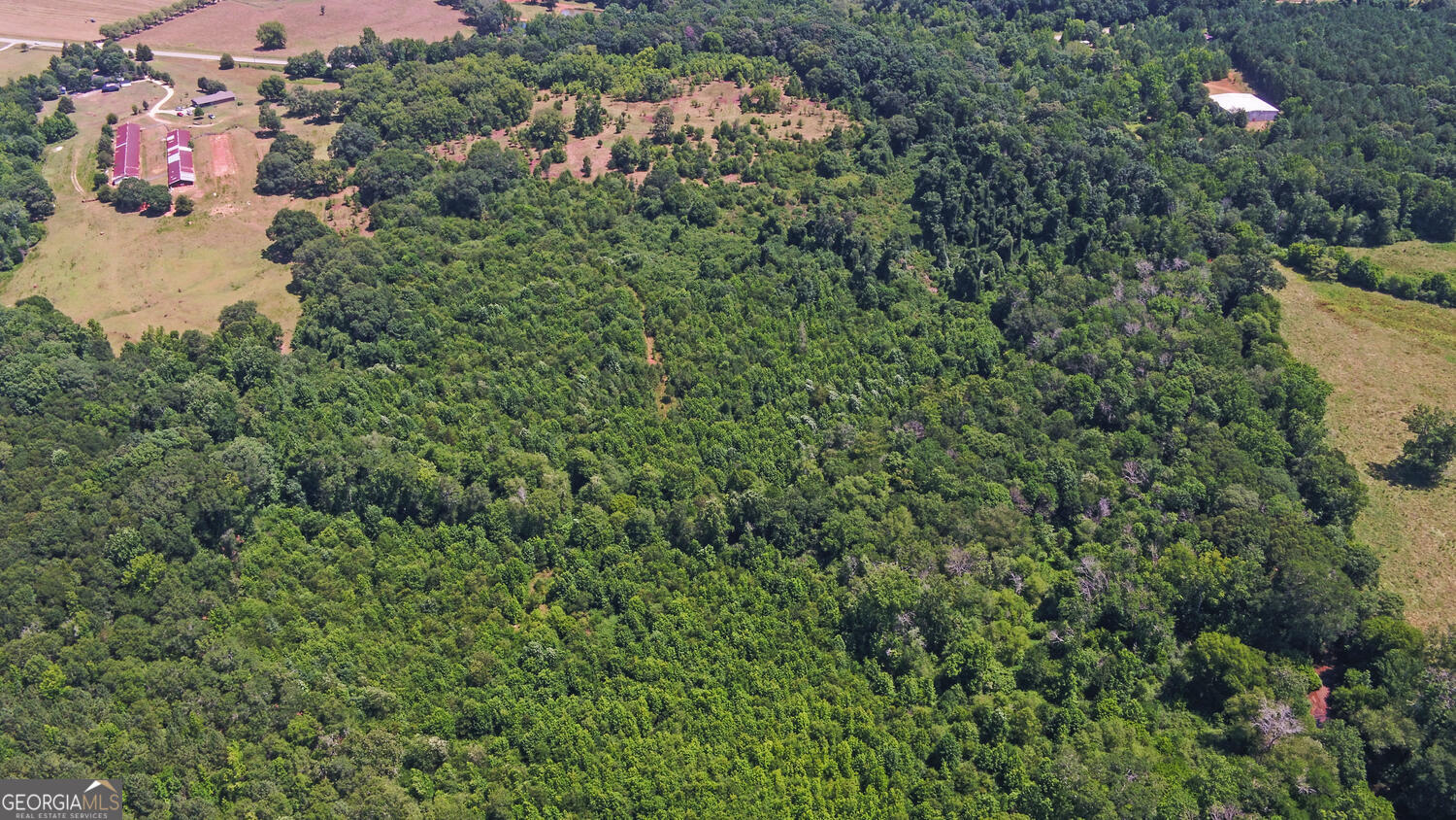 3439-tract 4 Providence Church Road Hartwell, GA 30643 - Photo 6 of 15 an aerial view of a houses with yard
