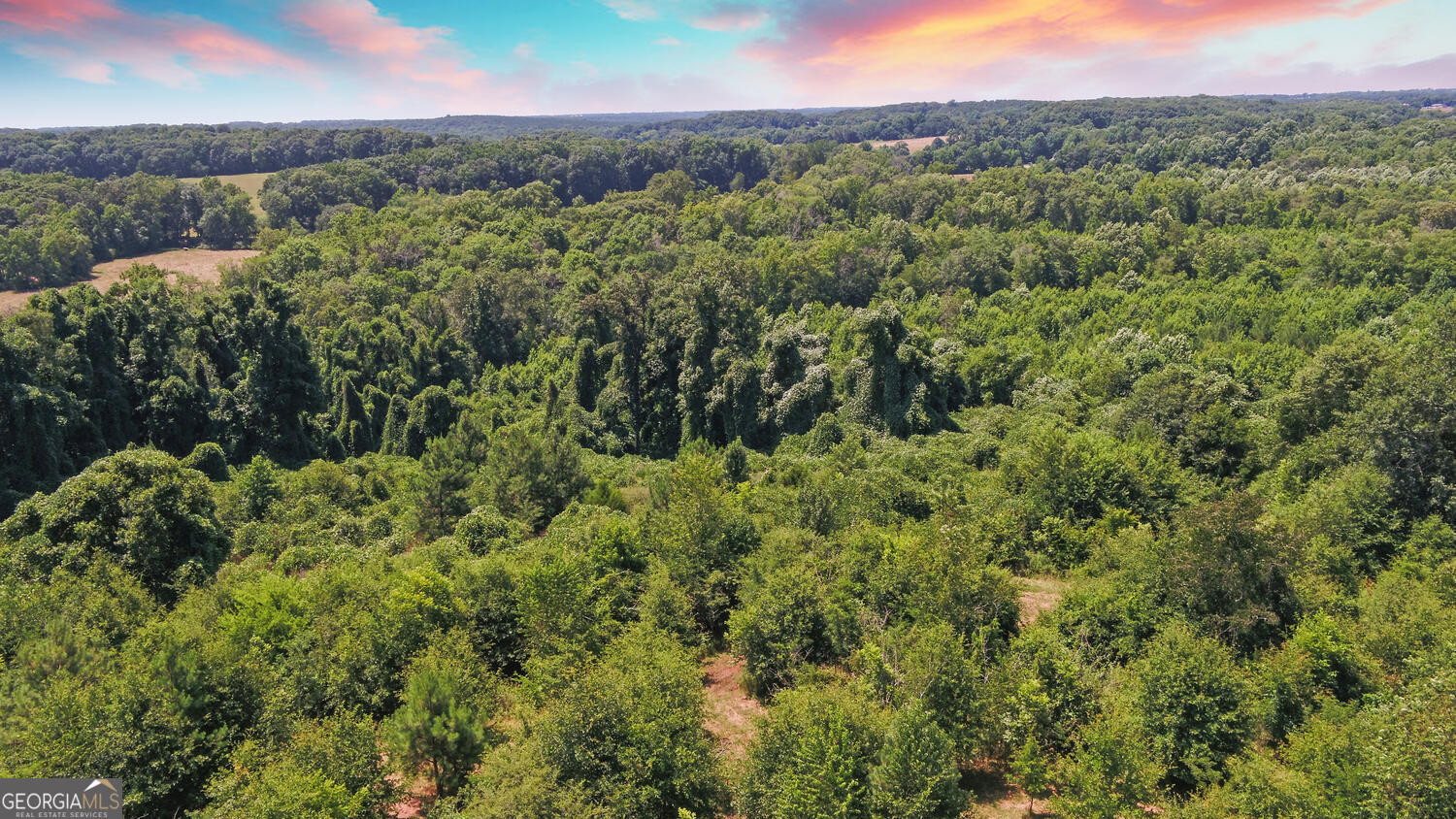 3439-tract 4 Providence Church Road Hartwell, GA 30643 - Photo 7 of 15 a view of a city with lush green forest