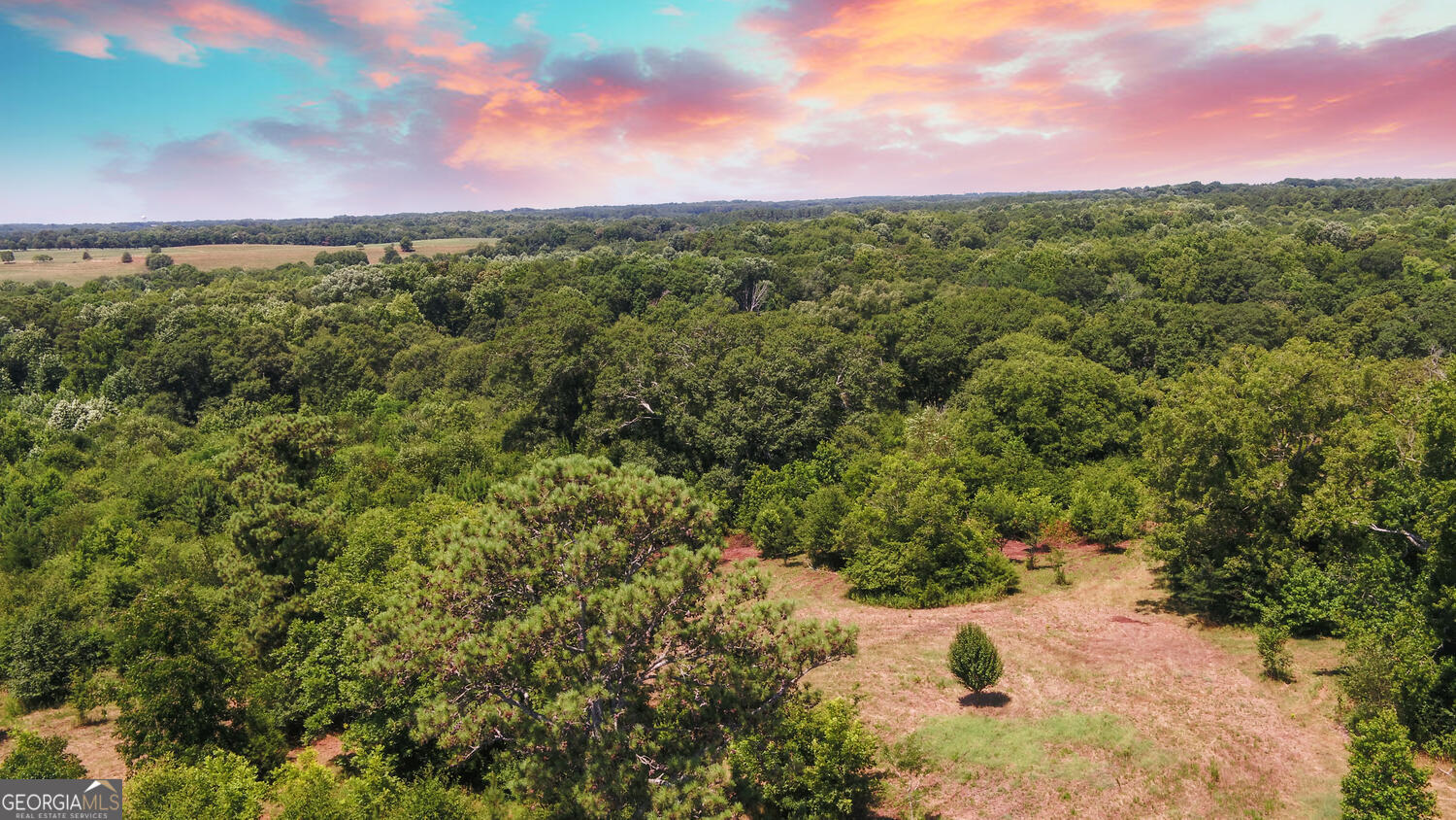 3439-tract 4 Providence Church Road Hartwell, GA 30643 - Photo 9 of 15 a view of a city with lush green forest