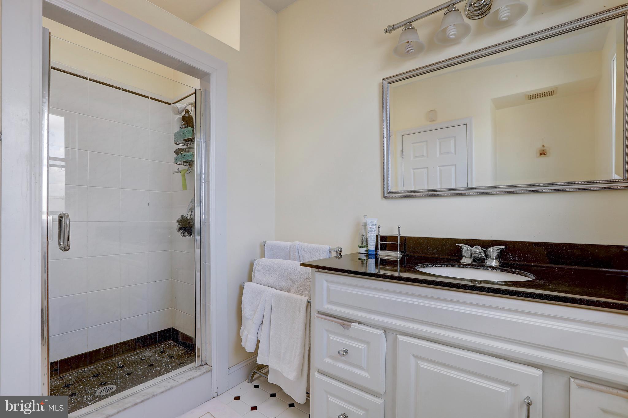 1007 North Calvert Street Baltimore, MD 21202 - Photo 31 of 43 a bathroom with a granite countertop sink a mirror and shower
