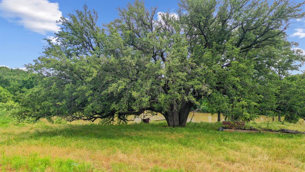 Tbd Goen Road Millsap, TX 76066 - Photo 16 of 26