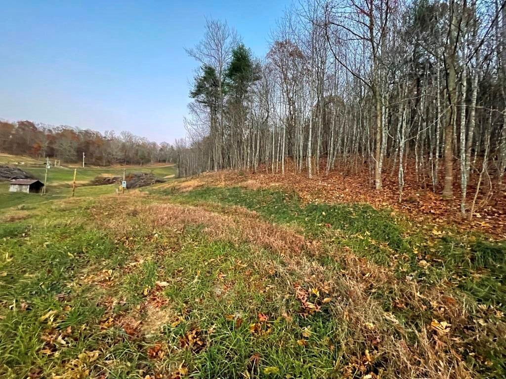 2549 Loafers Rest Road Austinville, VA 24312 - Photo 52 of 57 Gallery Image 52