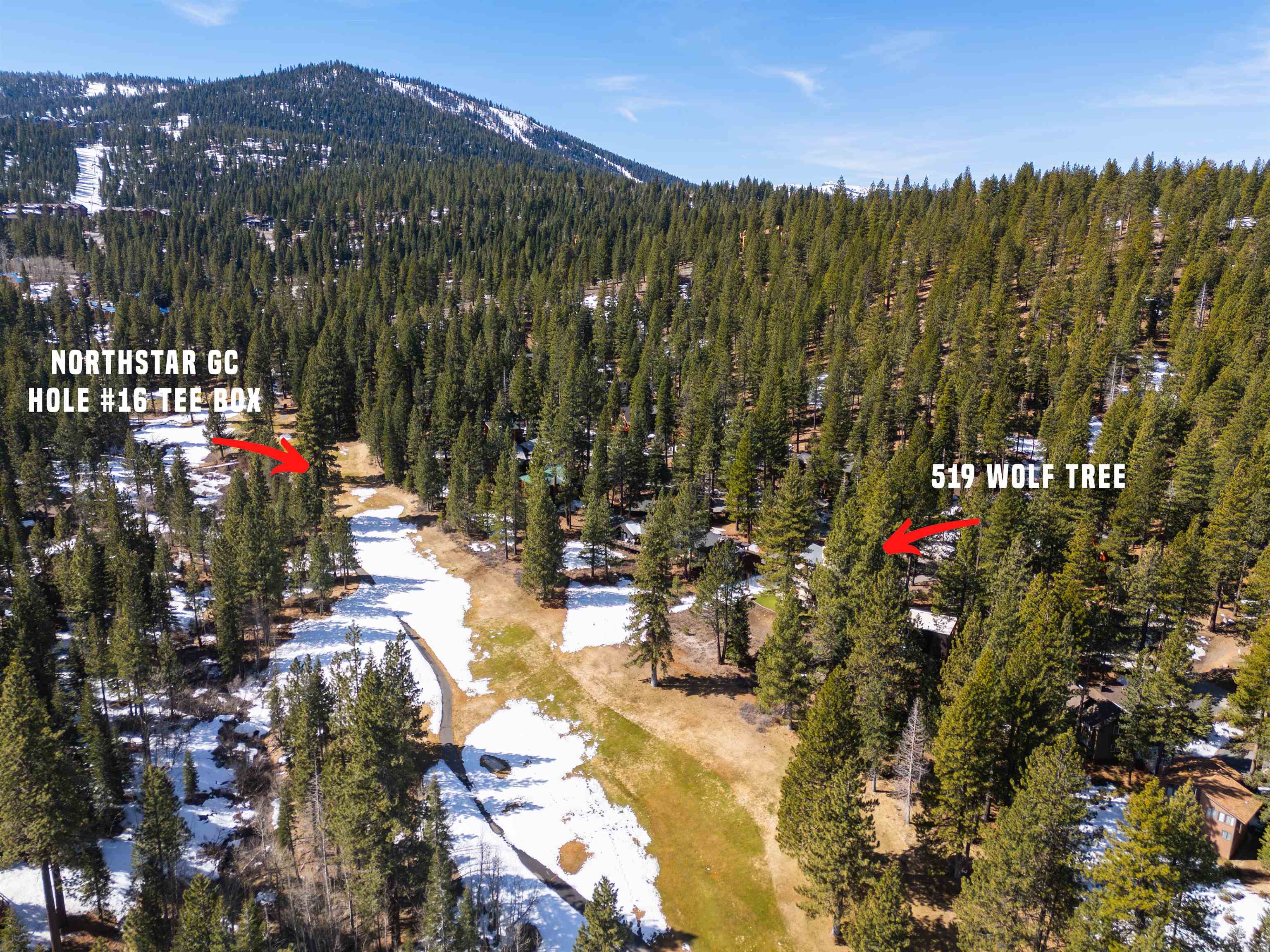 519 Wolf Tree Truckee, CA 96161 - Photo 14 of 22