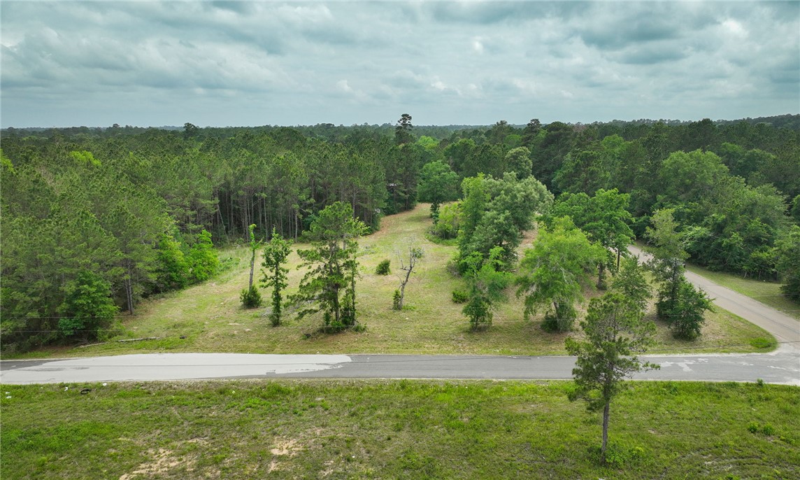 5914 Carter Road Waller, TX 77484 - Photo 39 of 41