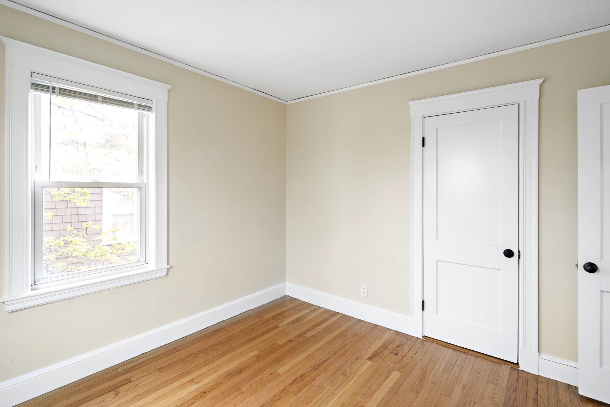23 Thelma Road, Unit 2 Boston, MA 02122 - Photo 13 of 20 Gallery Image 13