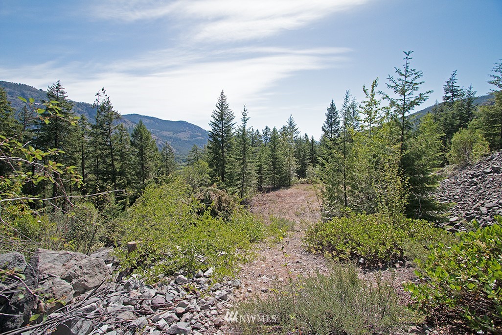 0 Tbd Mckinney Road Winthrop, WA 98862 - Photo 1 of 22 Gallery Image 1