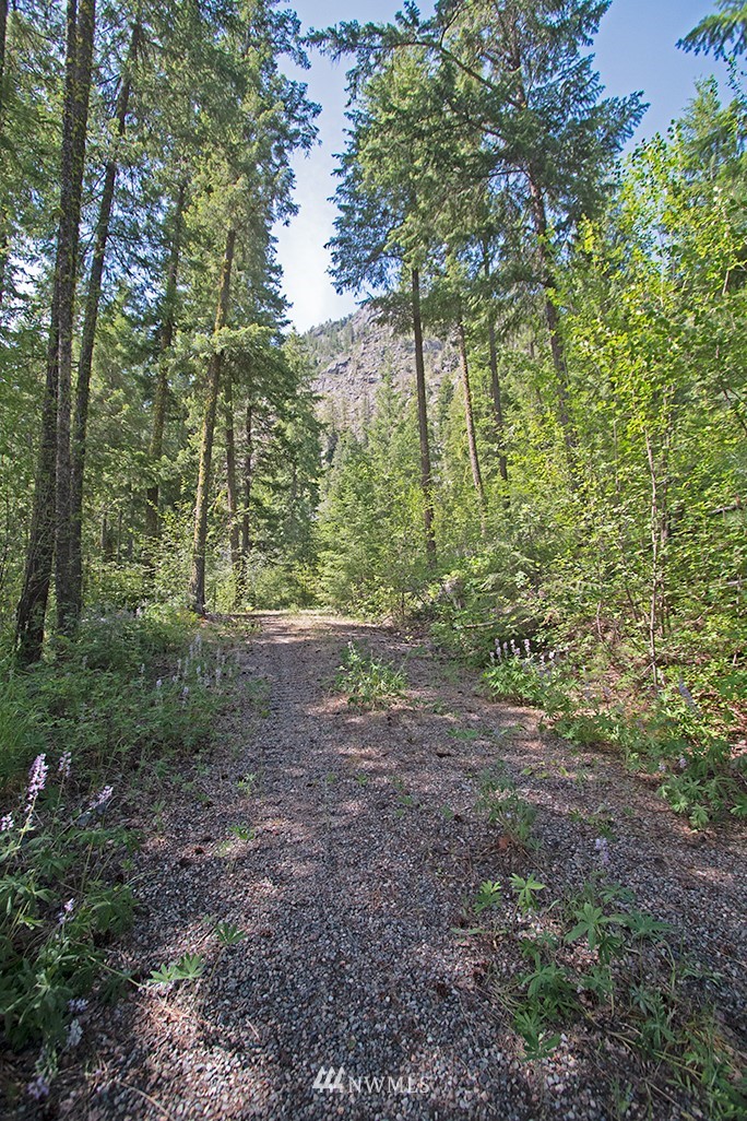 0 Tbd Mckinney Road Winthrop, WA 98862 - Photo 2 of 22 Gallery Image 2