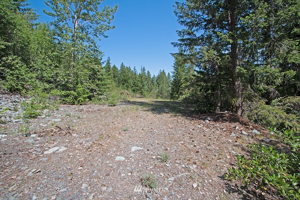 0 Tbd Mckinney Road Winthrop, WA 98862 - Photo 11 of 22 Gallery Image 11