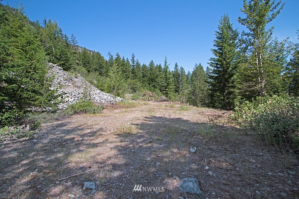 0 Tbd Mckinney Road Winthrop, WA 98862 - Photo 12 of 22 Gallery Image 12