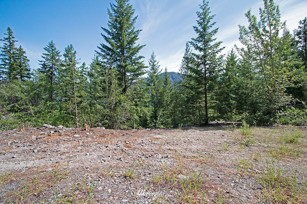0 Tbd Mckinney Road Winthrop, WA 98862 - Photo 14 of 22 Gallery Image 14