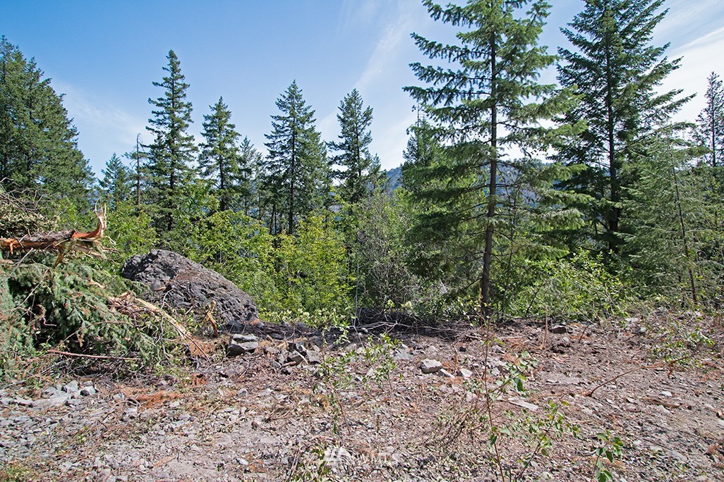 0 Tbd Mckinney Road Winthrop, WA 98862 - Photo 15 of 22 Gallery Image 15