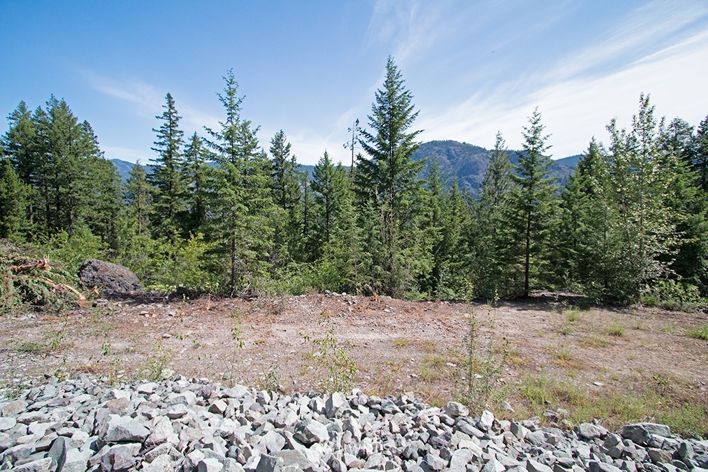 0 Tbd Mckinney Road Winthrop, WA 98862 - Photo 17 of 22 Gallery Image 17
