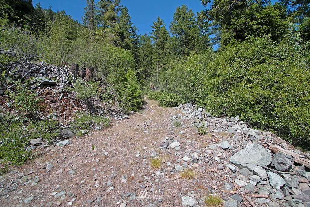0 Tbd Mckinney Road Winthrop, WA 98862 - Photo 18 of 22 Gallery Image 18