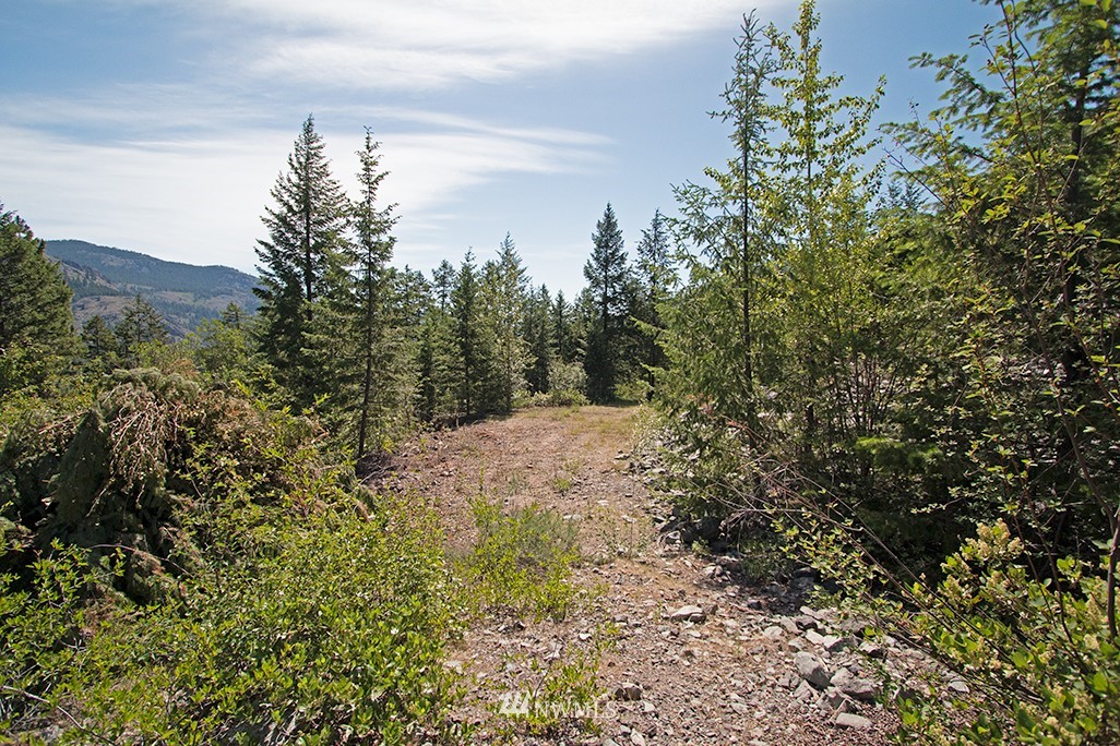 0 Tbd Mckinney Road Winthrop, WA 98862 - Photo 19 of 22 Gallery Image 19