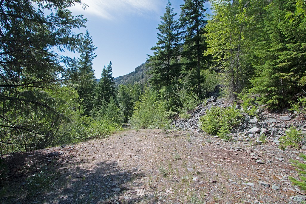 0 Tbd Mckinney Road Winthrop, WA 98862 - Photo 20 of 22 Gallery Image 20