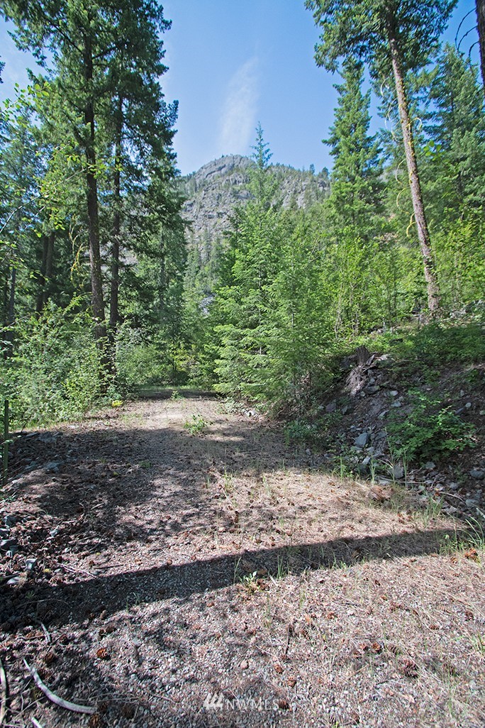 0 Tbd Mckinney Road Winthrop, WA 98862 - Photo 3 of 22 Gallery Image 3